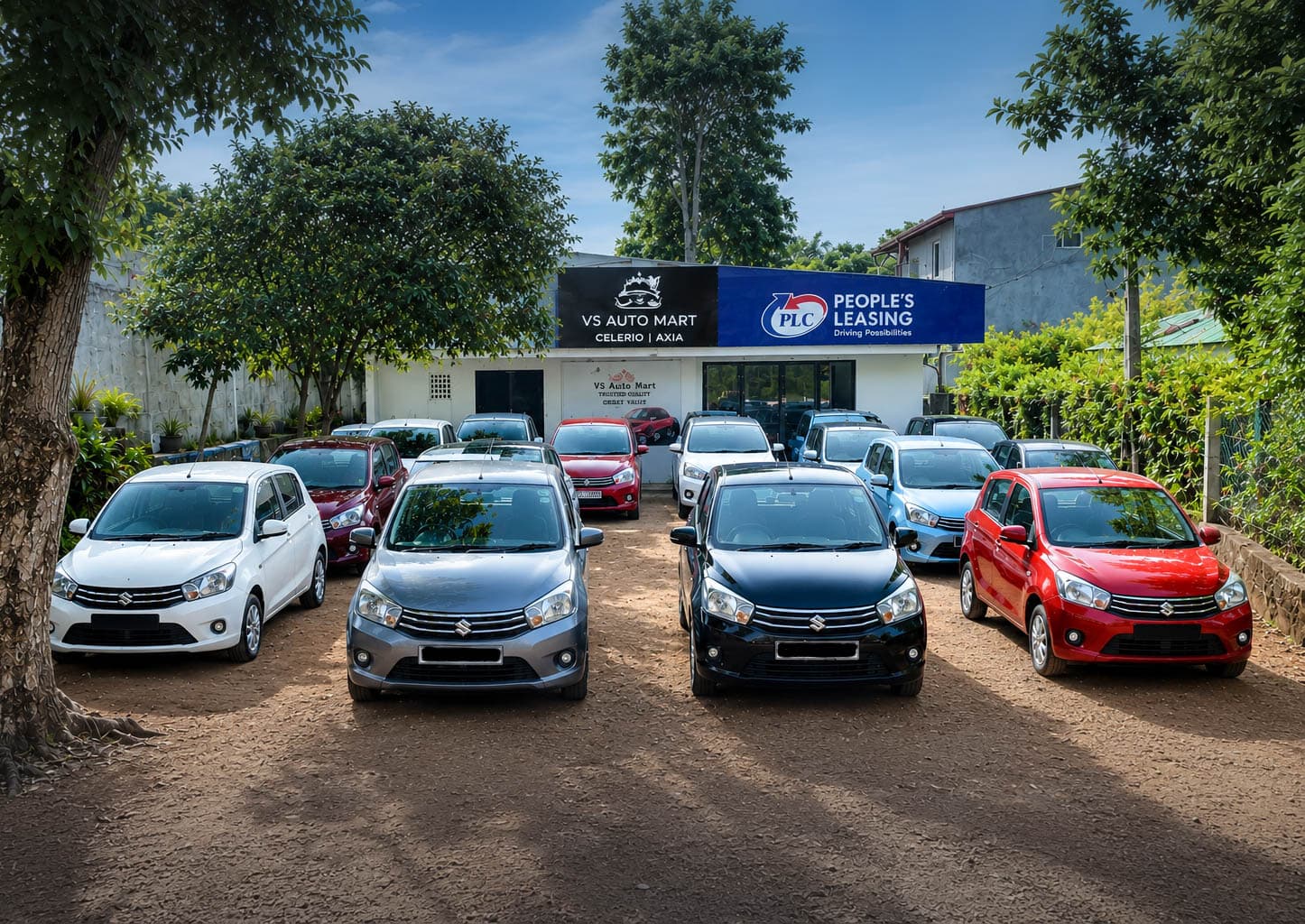 Premium vehicles showroom