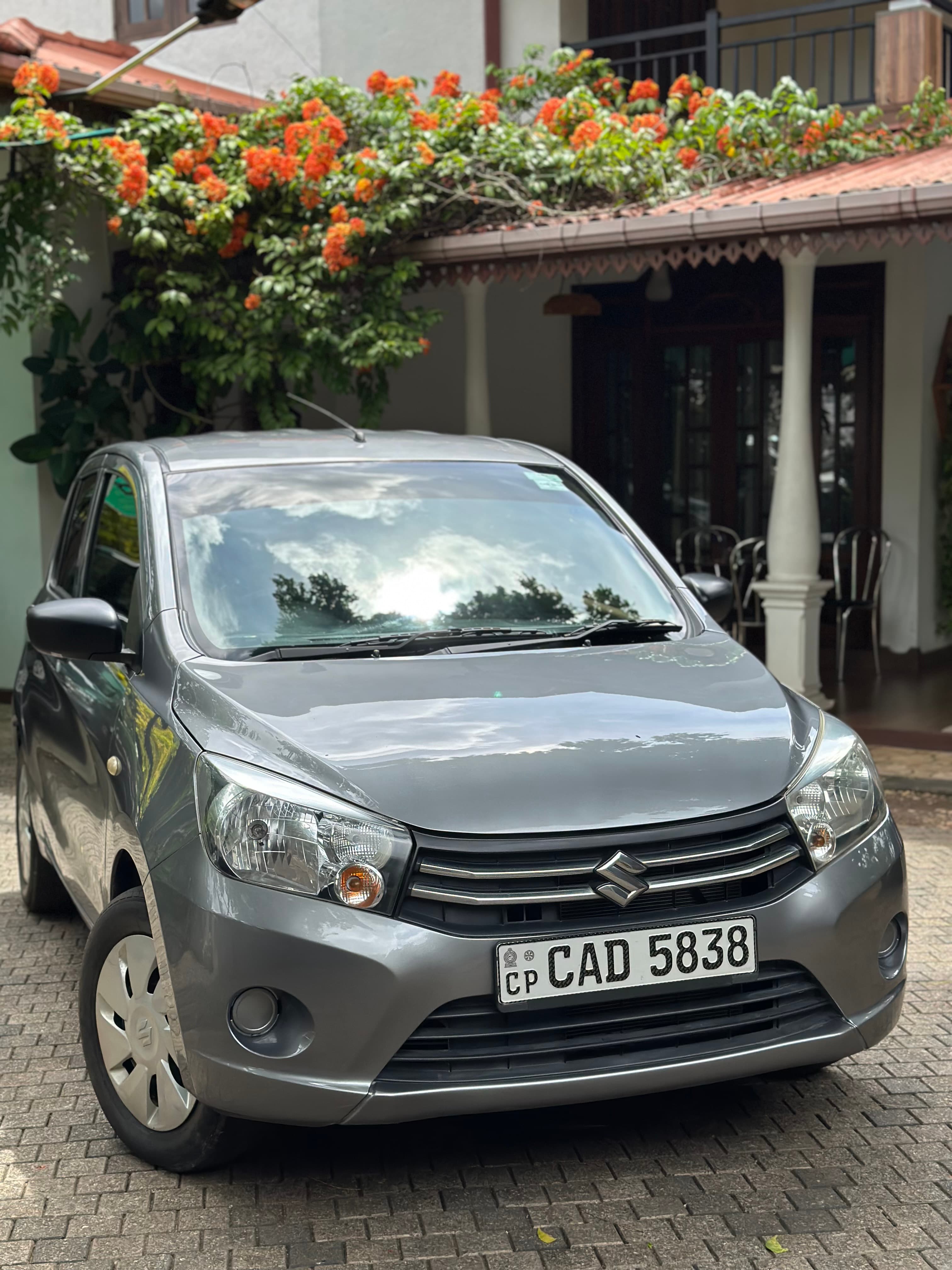 Suzuki Celerio 2015 - exterior