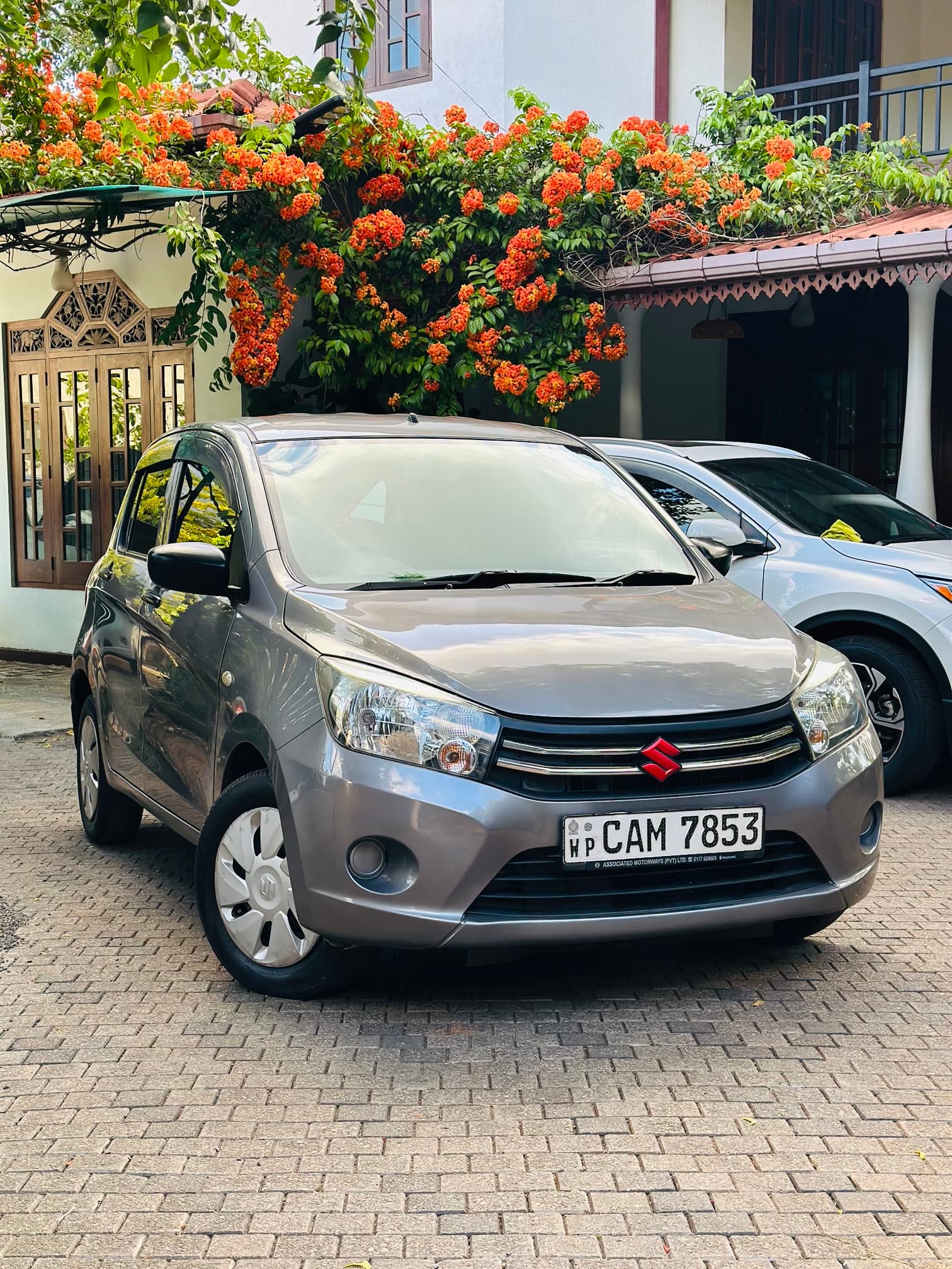Suzuki Celerio 2015 - exterior